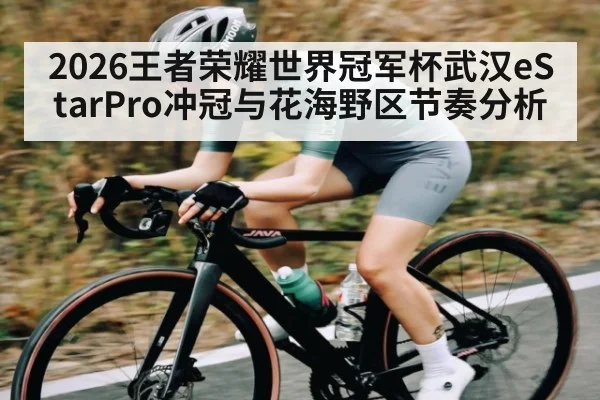 2026王者荣耀世界冠军杯武汉eStarPro冲冠与花海野区节奏分析