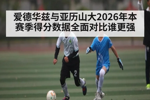 爱德华兹与亚历山大2026年本赛季得分数据全面对比谁更强